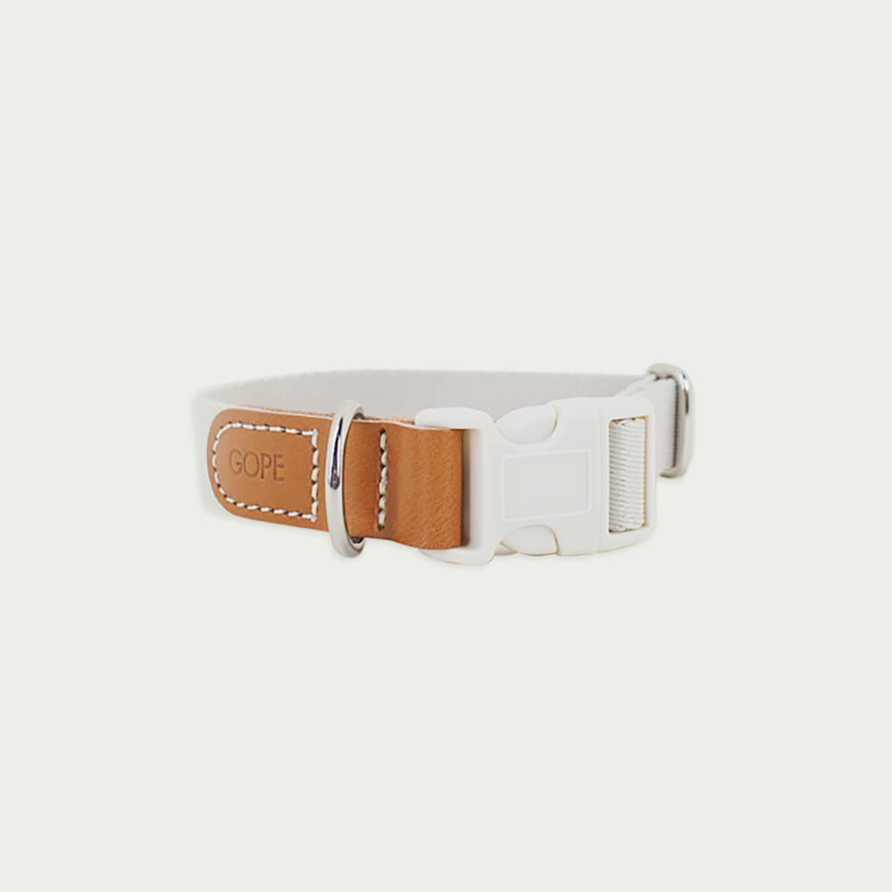 Picture Dog Collar TAIV