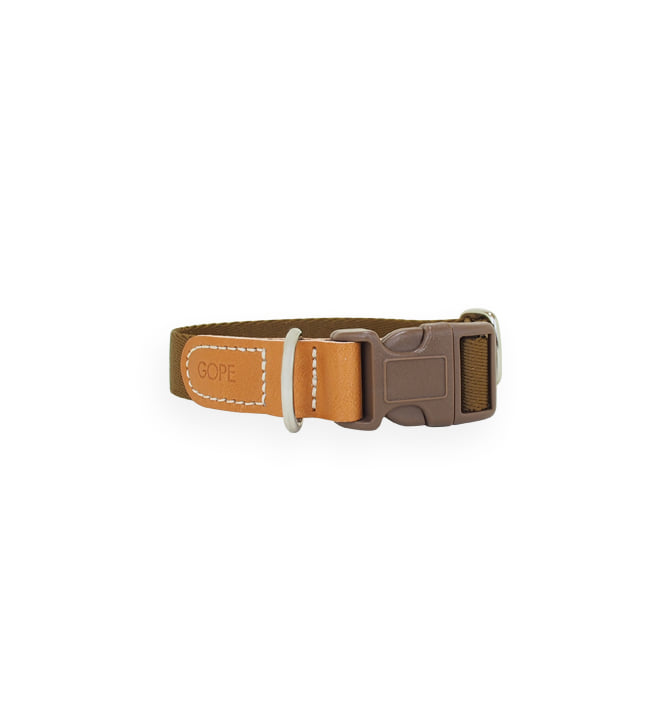 [Sample Sale 30%] Picture Dog Collar TABR